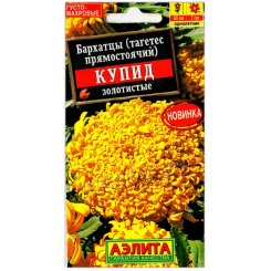 Бархатцы прямостоячие Купид золотистые