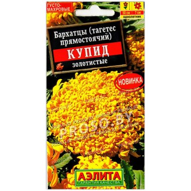 Бархатцы прямостоячие Купид золотистые