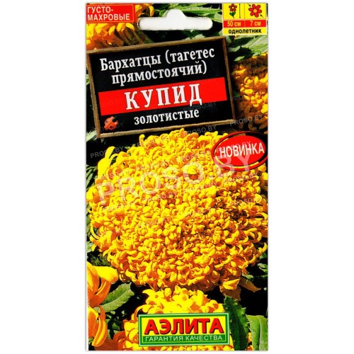 Бархатцы прямостоячие Купид золотистые