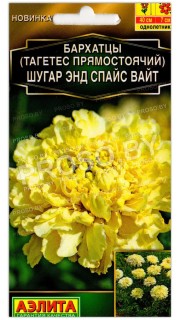 Бархатцы прямостоячие Шугар энд спайс вайт