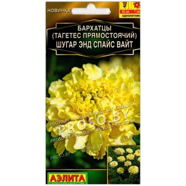 Бархатцы прямостоячие Шугар энд спайс вайт