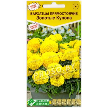 Бархатцы прямостоячие Золотые купола