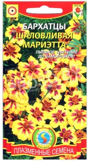 Бархатцы Шаловливая Мариэтта