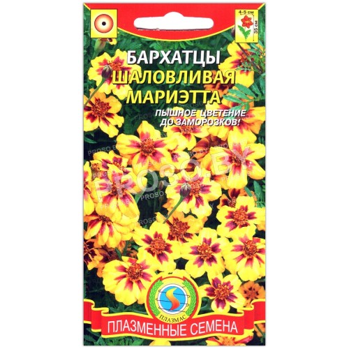 Бархатцы Шаловливая Мариэтта