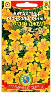 Бархатцы тонколистные Голден джем