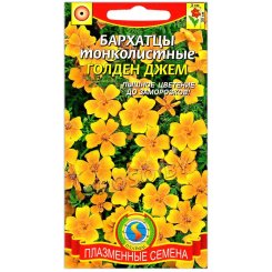 Бархатцы тонколистные Голден джем