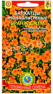 Бархатцы тонколистные Оранж джем