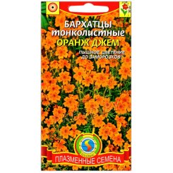 Бархатцы тонколистные Оранж джем