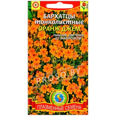Бархатцы тонколистные Оранж джем