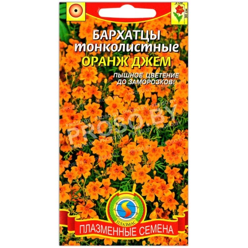 Бархатцы тонколистные Оранж джем