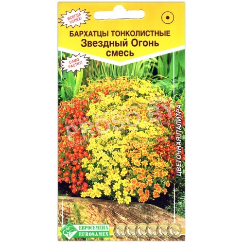 Бархатцы тонколистные Звездный огонь, смесь