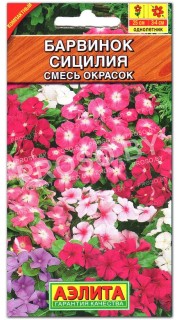Барвинок Сицилия, смесь