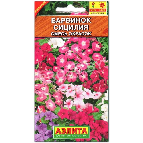 Барвинок Сицилия, смесь