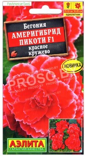 Бегония Америгибрид пикоти красное кружево F1