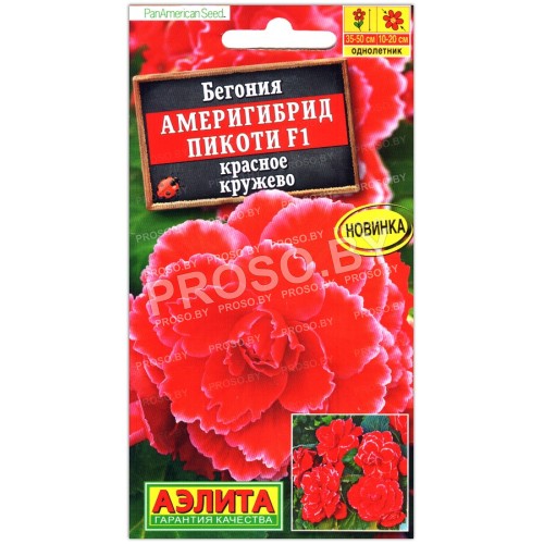 Бегония Америгибрид пикоти красное кружево F1