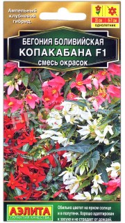 Бегония боливийская Копакабана F1, смесь