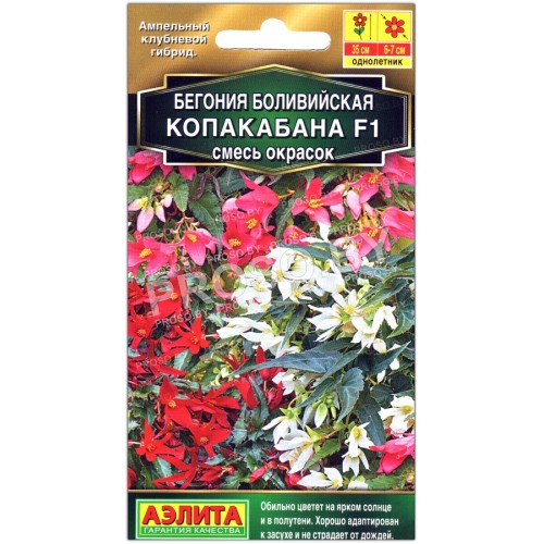 Бегония боливийская Копакабана F1, смесь