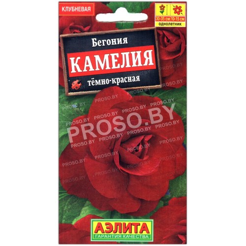 Бегония Камелия темно-красная