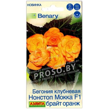 Бегония клубневая Нонстоп Мокка брайт оранж F1