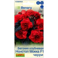 Бегония клубневая Нонстоп Мокка черри F1