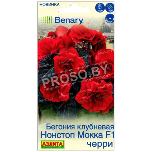 Бегония клубневая Нонстоп Мокка черри F1