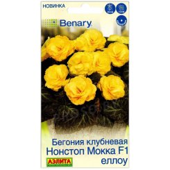Бегония клубневая Нонстоп Мокка еллоу F1