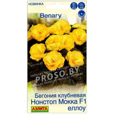 Бегония клубневая Нонстоп Мокка еллоу F1