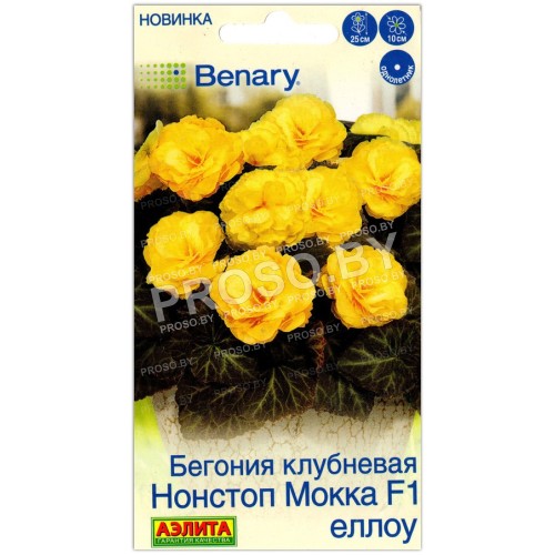 Бегония клубневая Нонстоп Мокка еллоу F1