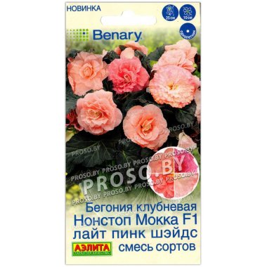 Бегония клубневая Нонстоп Мокка лайт пинк шэйдс F1, смесь