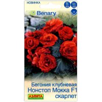 Бегония клубневая Нонстоп Мокка скарлет F1