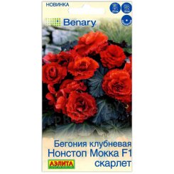Бегония клубневая Нонстоп Мокка скарлет F1