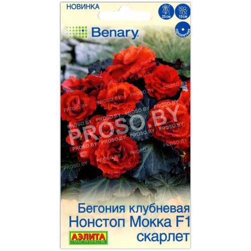 Бегония клубневая Нонстоп Мокка скарлет F1