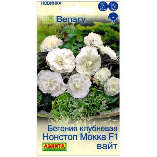 Бегония клубневая Нонстоп Мокка вайт F1