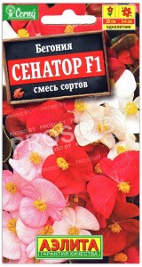 Бегония Сенатор F1, смесь