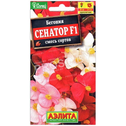 Бегония Сенатор F1, смесь