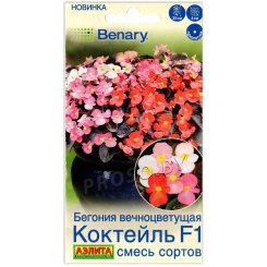 Бегония вечноцветущая Коктейль F1, смесь