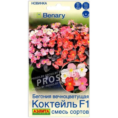 Бегония вечноцветущая Коктейль F1, смесь