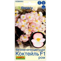Бегония вечноцветущая Коктейль ром F1