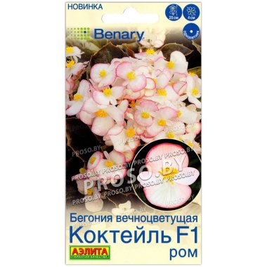 Бегония вечноцветущая Коктейль ром F1