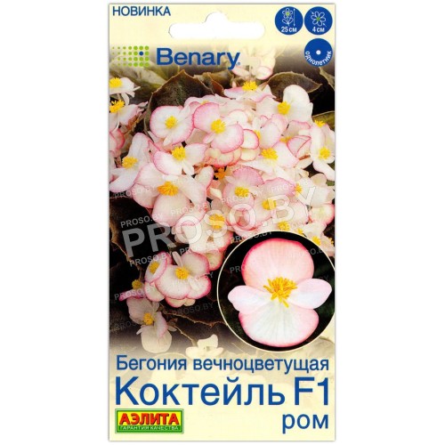 Бегония вечноцветущая Коктейль ром F1