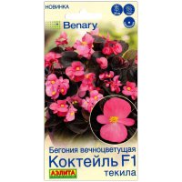 Бегония вечноцветущая Коктейль текила F1