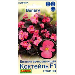Бегония вечноцветущая Коктейль текила F1