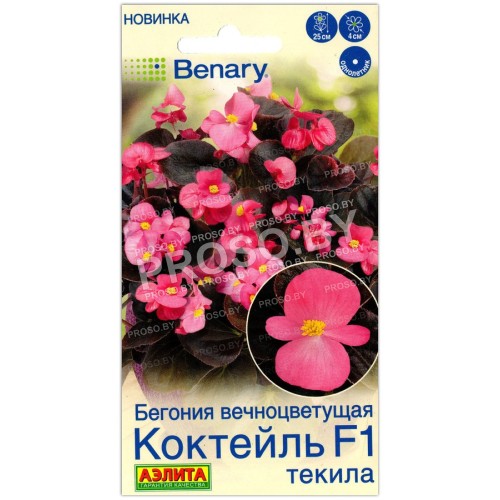 Бегония вечноцветущая Коктейль текила F1