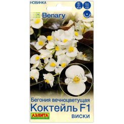 Бегония вечноцветущая Коктейл виски F1