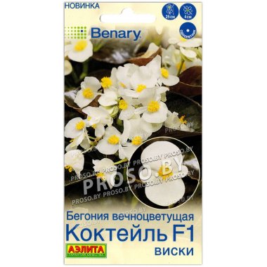 Бегония вечноцветущая Коктейл виски F1