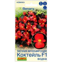 Бегония вечноцветущая Коктейль водка F1