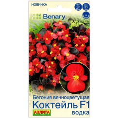Бегония вечноцветущая Коктейль водка F1