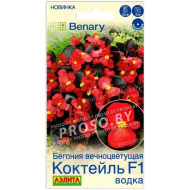 Бегония вечноцветущая Коктейль водка F1