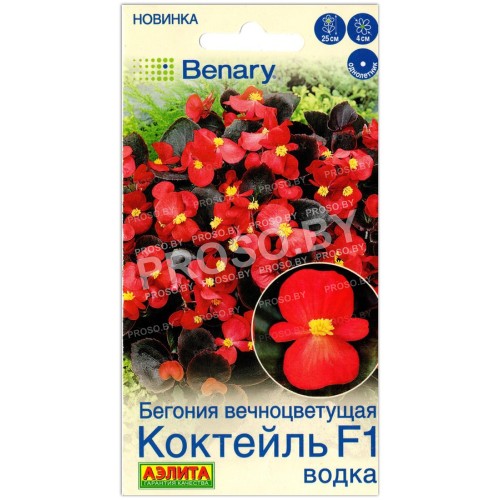 Бегония вечноцветущая Коктейль водка F1