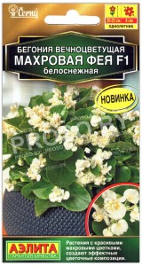 Бегония вечноцветущая Махровая фея белоснежная F1